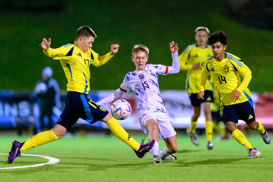 Linus Lindgren and Haami Najafi of Sweden against Lucas