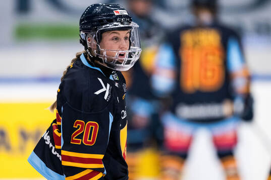 Djurgårdens Brette Pettet