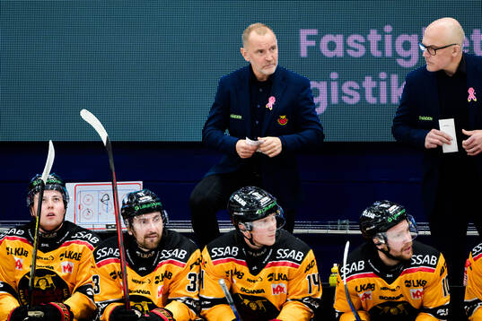 Luleås tränare Thomas Berglund