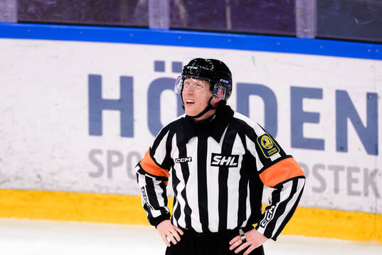 Domare Mikael Holm