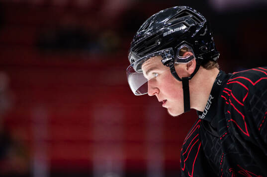 Brynäs Hugo Lejon