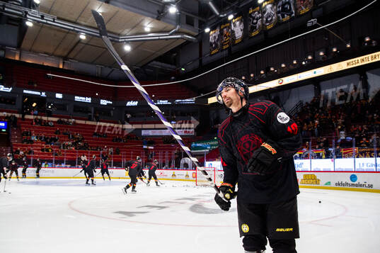 Brynäs Anton Rödin
