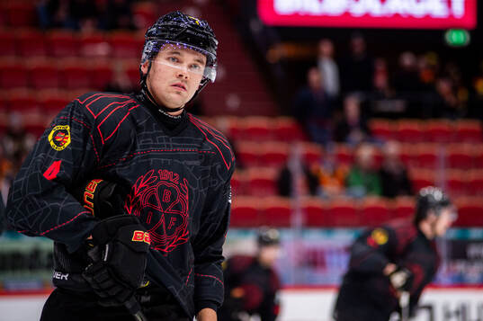 Brynäs Theo Lindstein