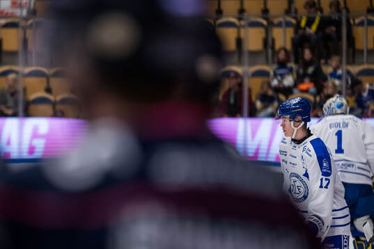 Leksands Dennis Altörn