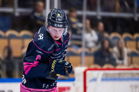 HV71s Hugo Pettersson