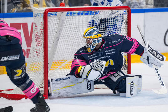 HV71s målvakt Hugo Alnefelt släpper in 1-1