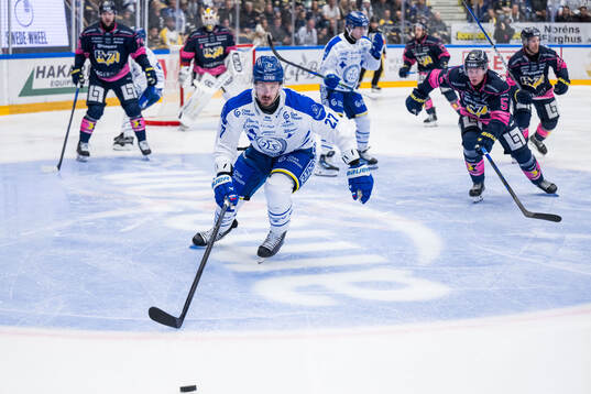 Leksands Marek Hrivik