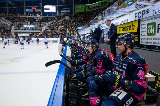 HV71s Henrik Borgström och Joona Luoto deppar