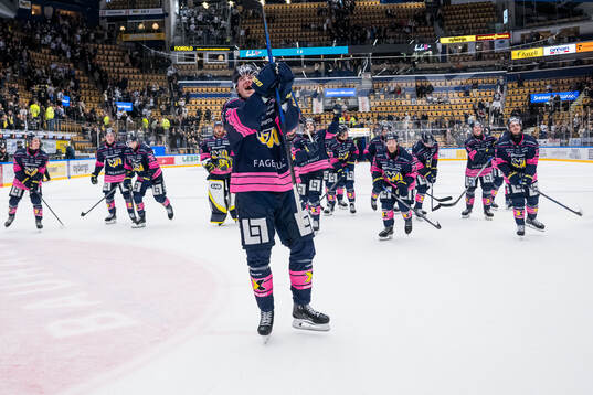 HV71s Henrik Borgström jublar