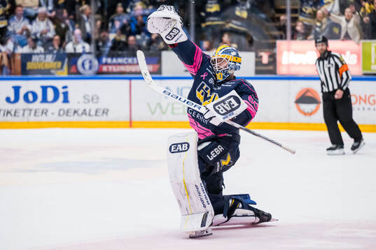 HV71s målvakt Frederik Dichow jublar