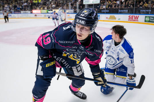 HV71s Henrik Borgström och Leksands Anton Johansson