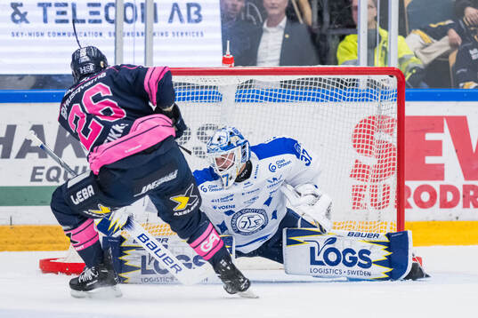 Leksands målvakt Jakob Hellsten