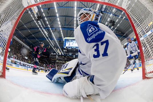 HV71s Radan Lenc jublar medan Leksands målvakt Jakob