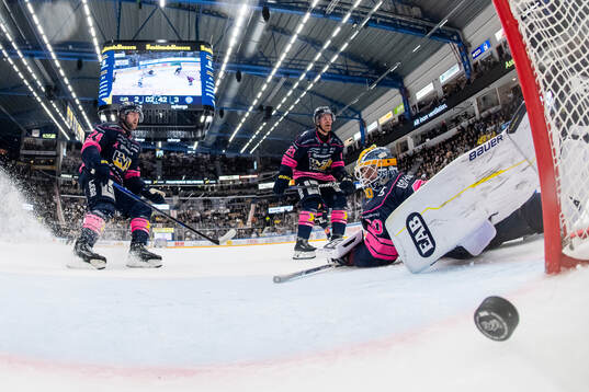 HV71s Sean Day, Mattias Tedenby och målvakt Frederik