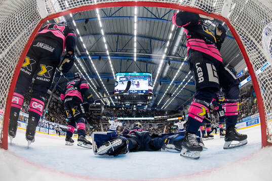 HV71s målvakt Frederik Dichow deppar