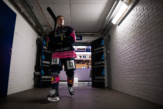 HV71s Wilhelm Hallquisth