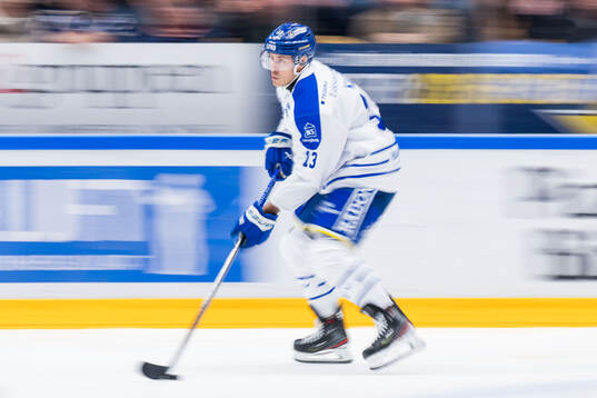 Leksands Jon Knuts