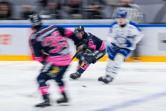 HV71s Mattias Tedenby