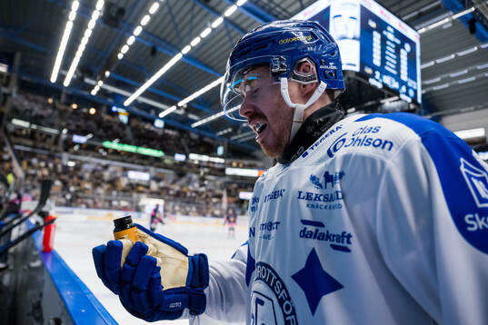 Leksands Matt Caito