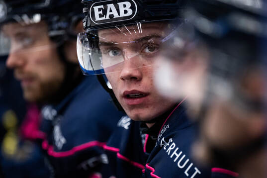 HV71s Wilhelm Hallquisth