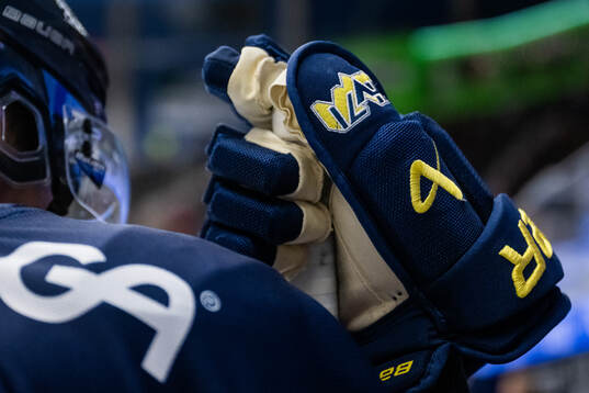 En handske på en HV71-spelare