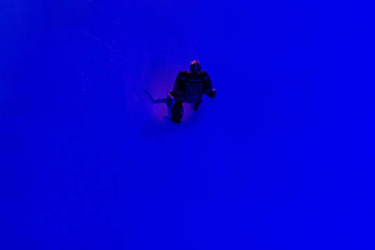HV71s målvakt Frederik Dichow