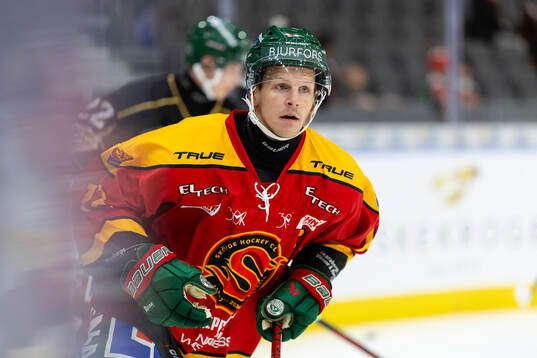 Frölundas Max Friberg