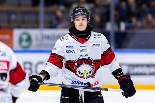 Malmö Redhawks Dominik Badinka