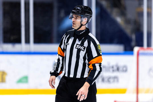 Domare Richard Magnusson