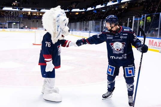 Linköpings Adam Hofbauer jublar