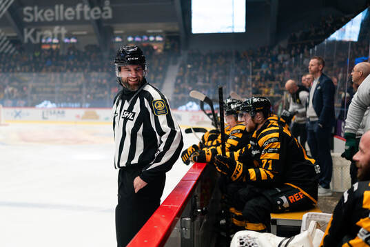 Linjedomare Emil Yletyinen