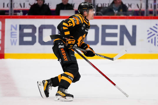 Skellefteås Andreas Johnson