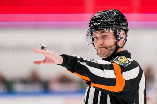 Domare Daniel Eriksson