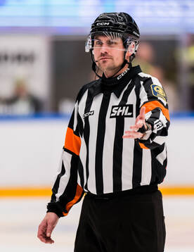 Domare David Laksola