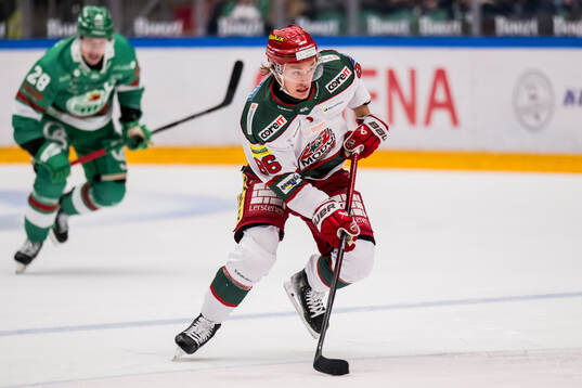 Modos Lukas Jasek