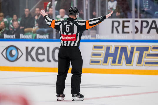 Domare Daniel Eriksson
