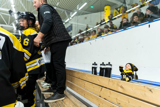 Västergötlands maskot