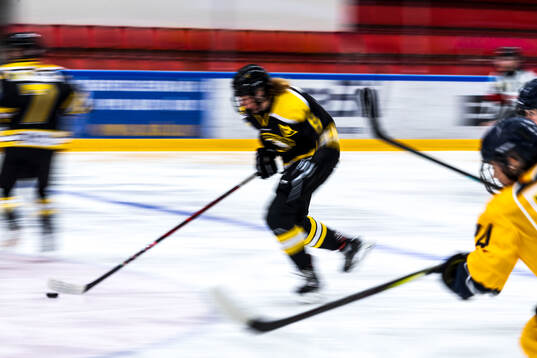 Västergötlands spelare