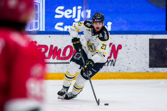 Södertäljes Nolan Stevens