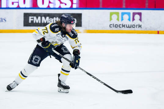 Södertäljes Nicolai Meyer