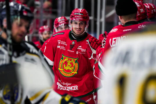 Moras Fabian Ilestedt jublar
