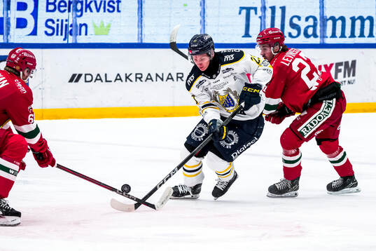 Södertäljes Egor Polin