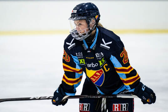 Djurgårdens Brette Pettet