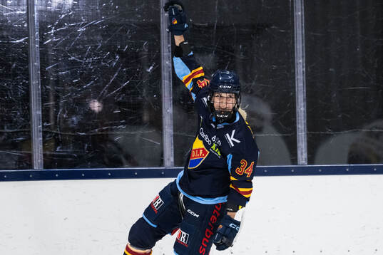 Bläddra bland fler bilder av Ishockey, SDHL, Djurgården - HV71