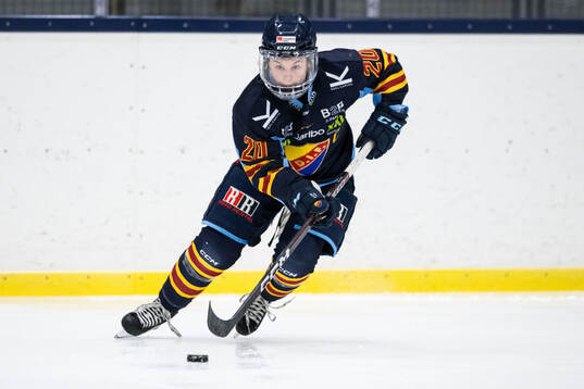 Djurgårdens Brette Pettet