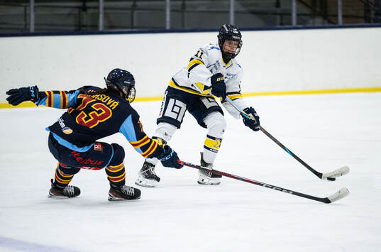HV71s Alva Solberg