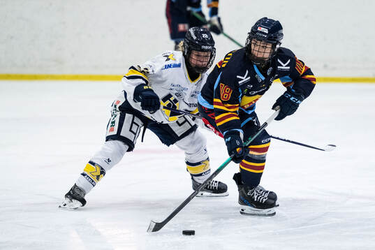 HV71s Kennedy Bobyck och Djurgårdens Alice Östensson