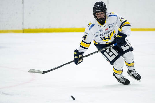 HV71s Evelina Arvidsson