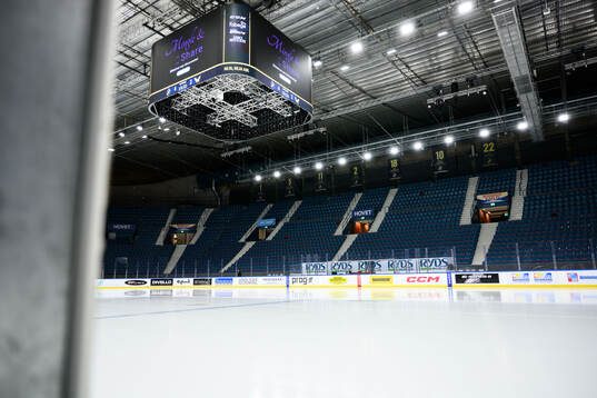 Vy av Hovet