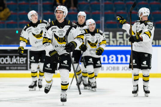 Västerås Anton Gradin jublar